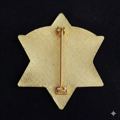 CCSO Cook County Sheriff Star Gold Badge Customizable Number Replica